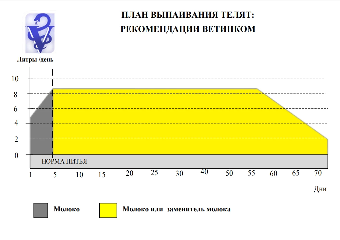 выпаивание больных телят пробиотиками